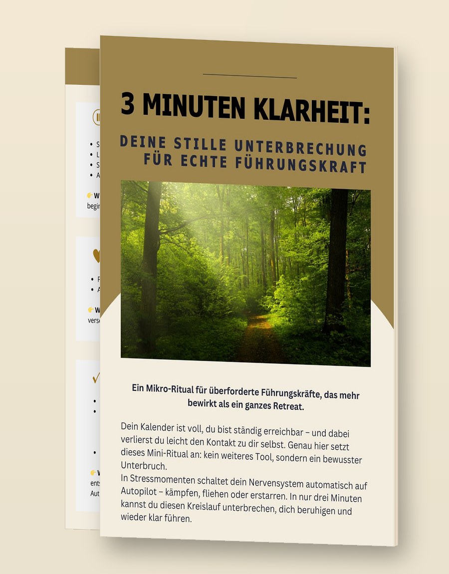 3 Minuten Klarheit · PDF-Vorschau